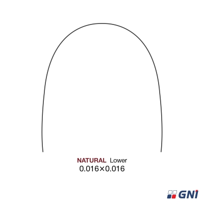 Дуга SS Natural 16*16 L