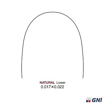Дуга Super Elastic NITI Natural 17*22 L